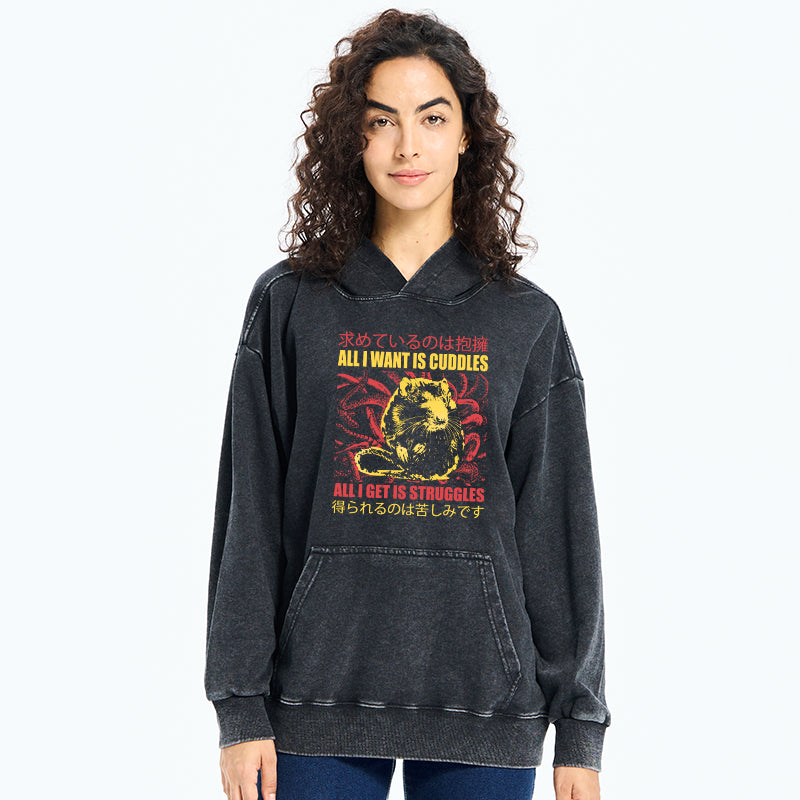 All I Want Is Cuddles Washed Hoodie