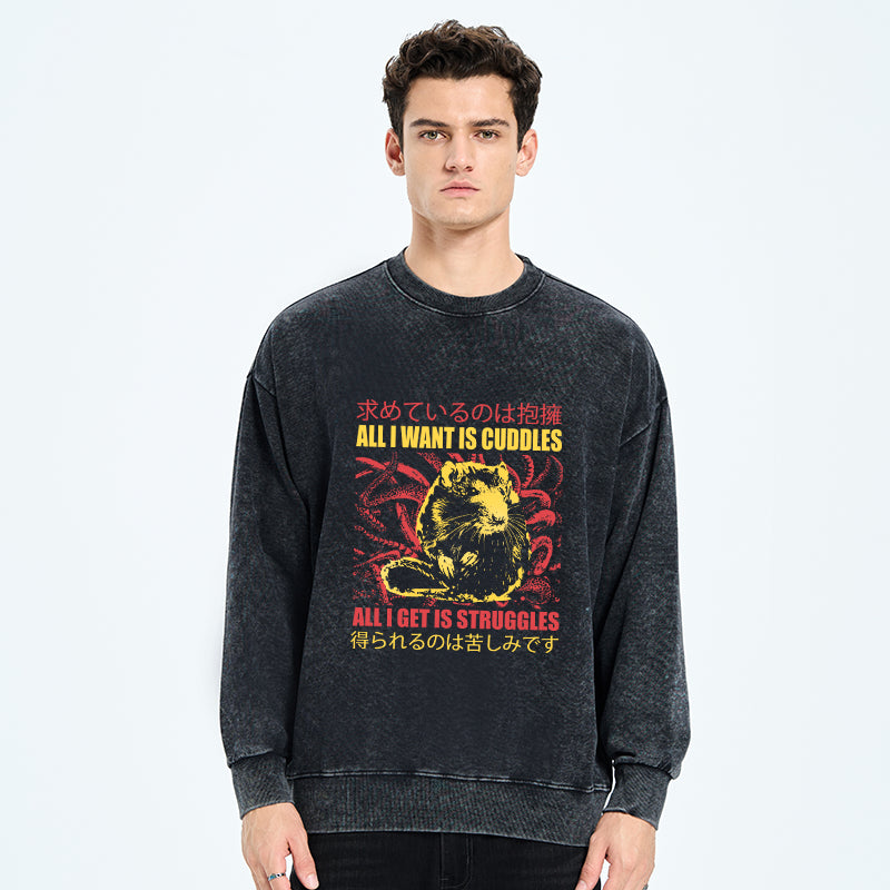 All I Want Is Cuddles Washed Sweatshirt