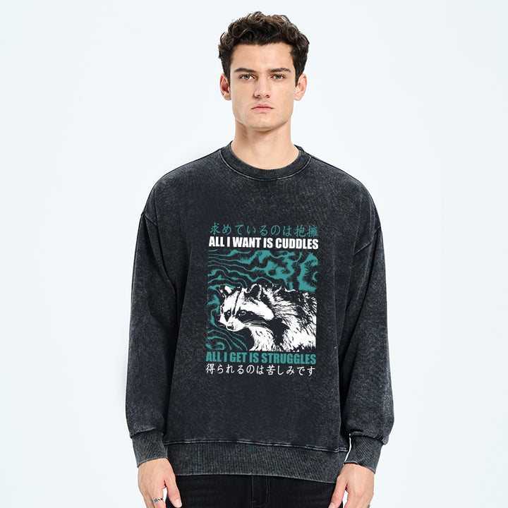 All I Get Is Struggles Washed Sweatshirt