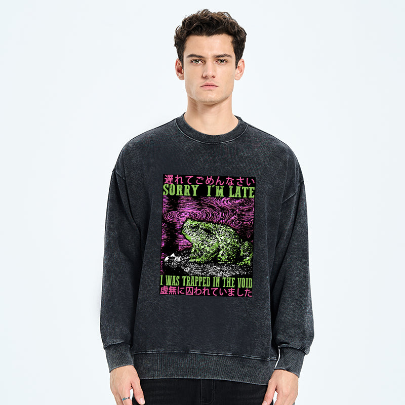 Frogs Trapped In The Void Washed Sweatshirt