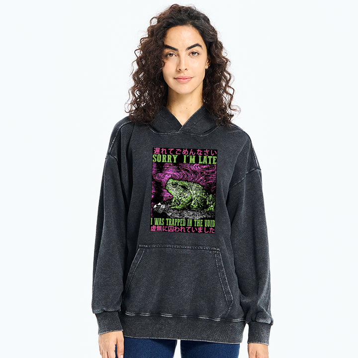 Frogs Trapped In The Void Washed Hoodie
