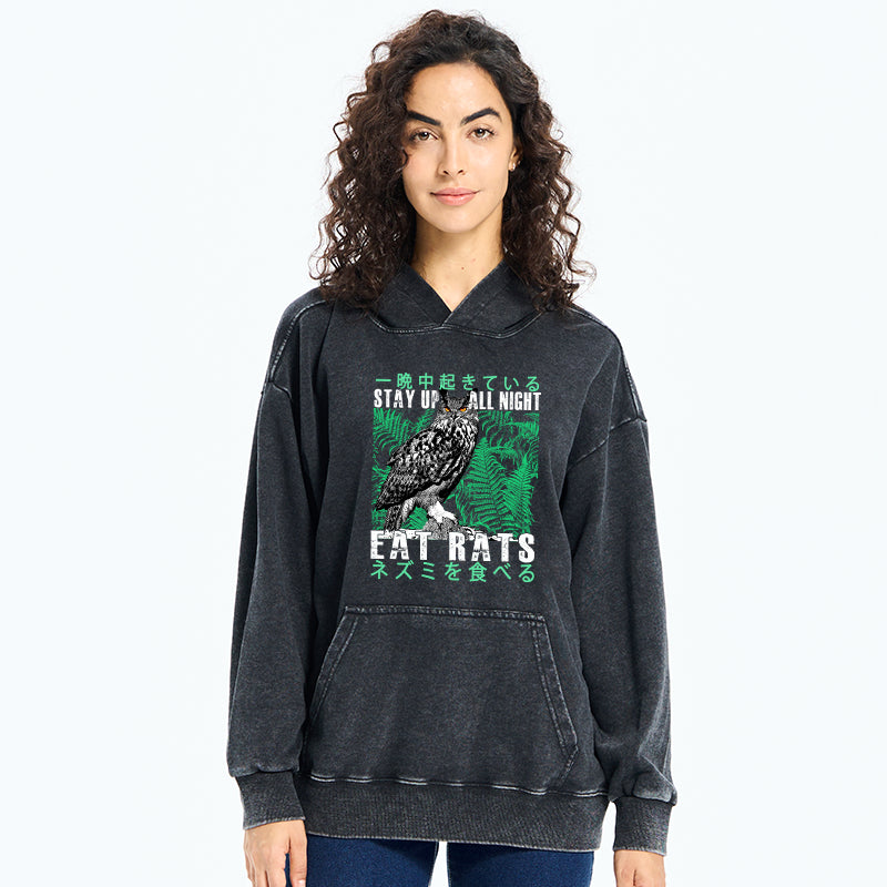 Owls Prey On Rats At Night Washed Hoodie