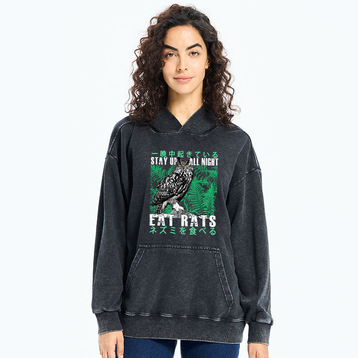 Owls Prey On Rats At Night Washed Hoodie