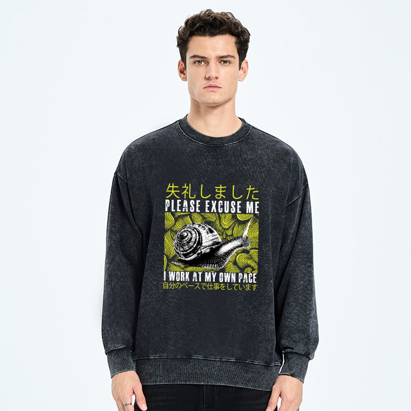 Snails That Work According To Their Own Rules Washed Sweatshirt