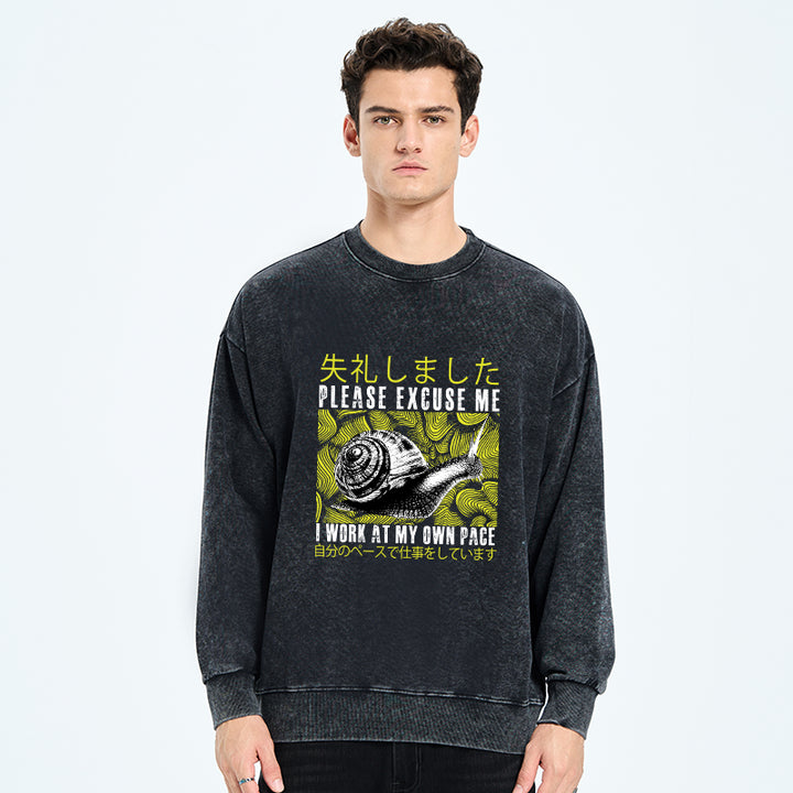 Snails That Work According To Their Own Rules Washed Sweatshirt