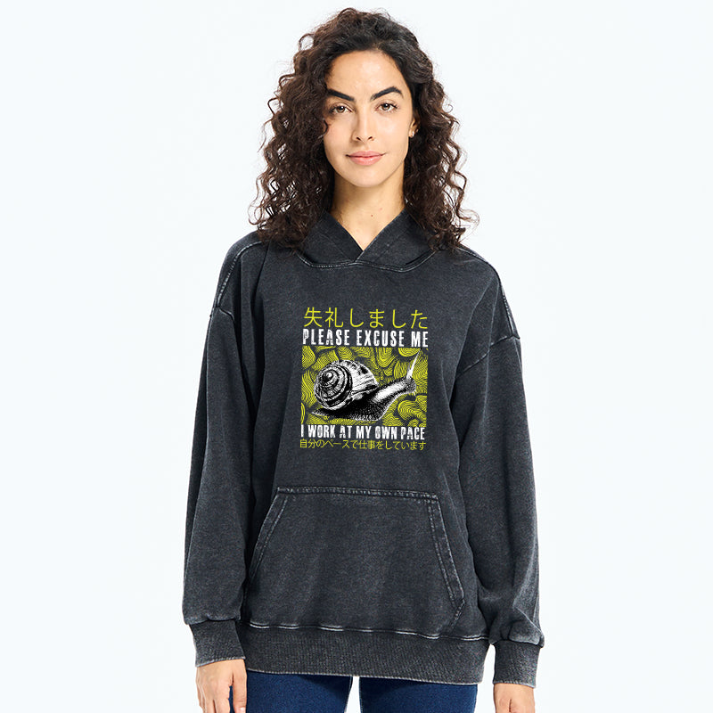 Snails That Work According To Their Own Rules Washed Hoodie