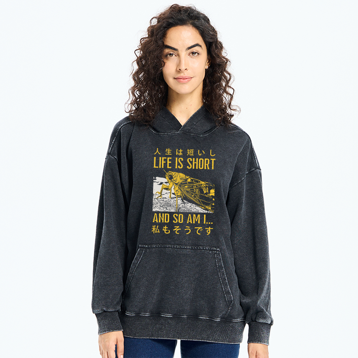 A Grasshopper With A Short Life Washed Hoodie