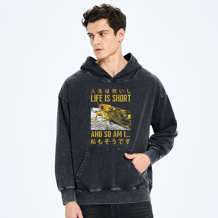 A Grasshopper With A Short Life Washed Hoodie