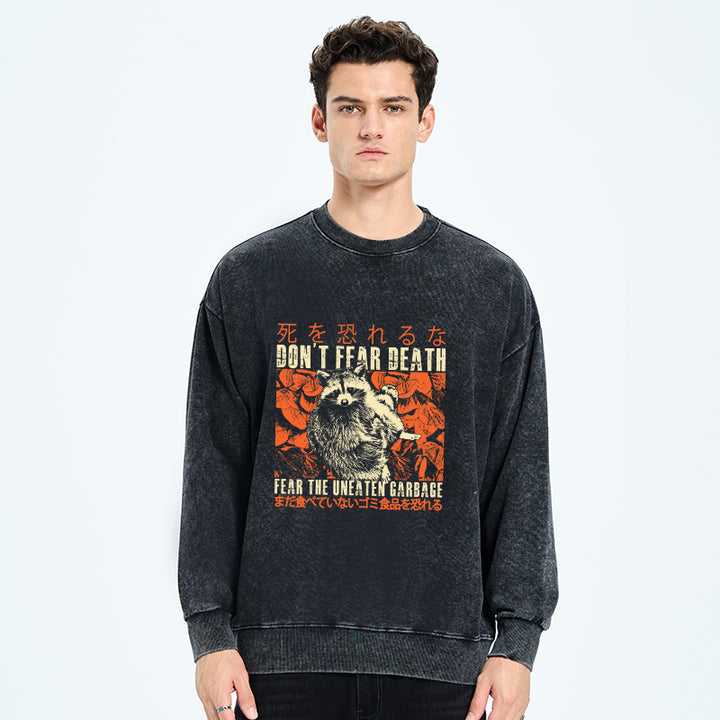 Timid Raccoon Japanese Washed Sweatshirt