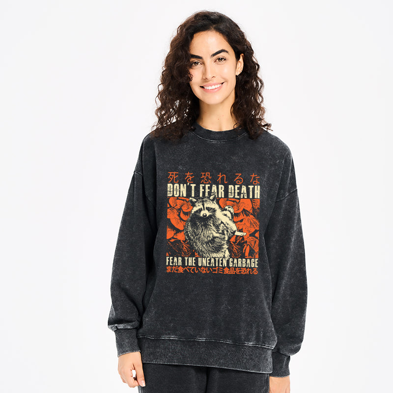 Timid Raccoon Japanese Washed Sweatshirt