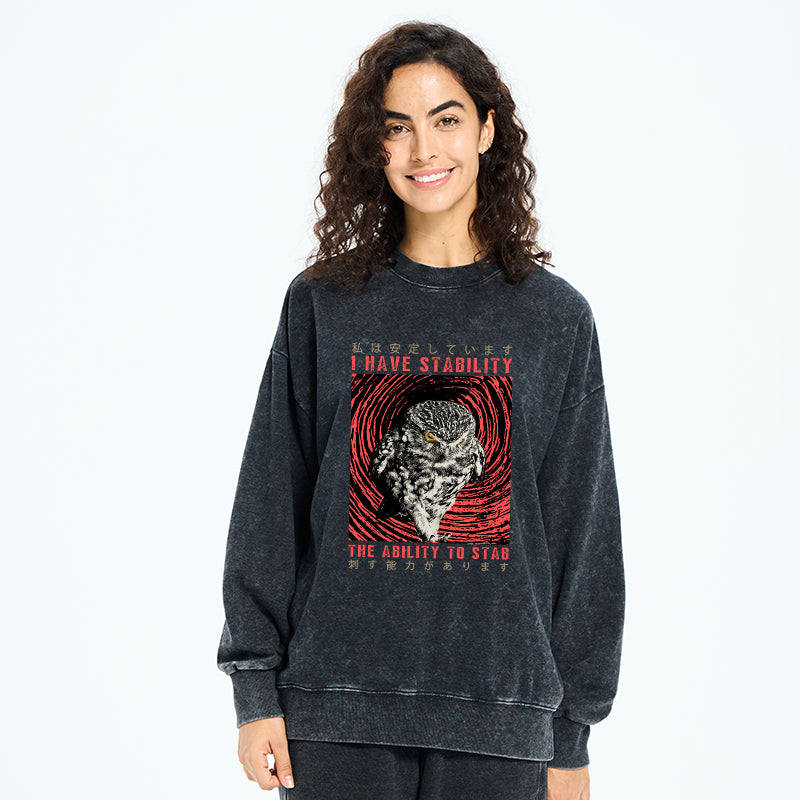 I Have Stability Owl Washed Sweatshirt