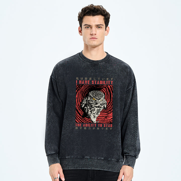 I Have Stability Owl Washed Sweatshirt