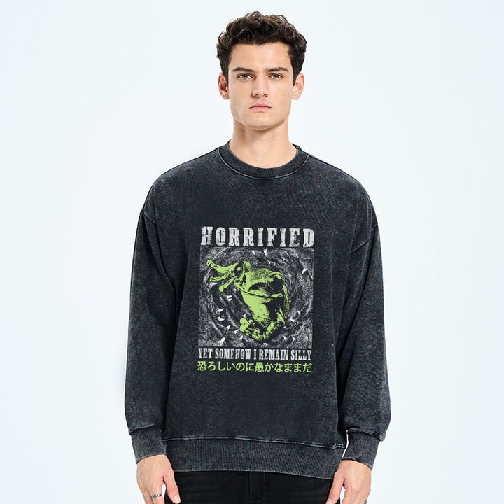 Silly Frog Japanese Washed Sweatshirt