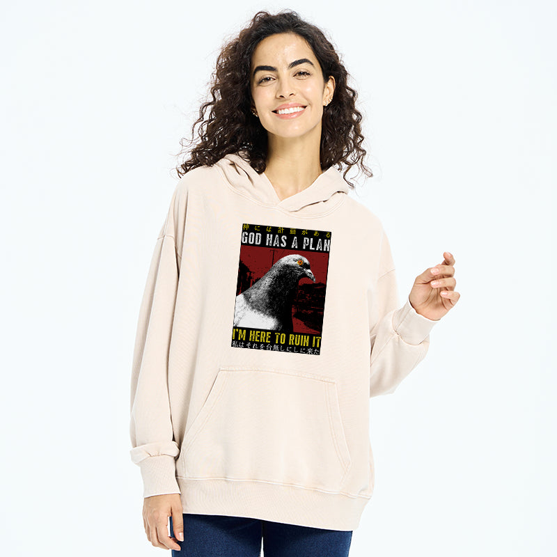 Pigeons That Want To Break The Plan Washed Hoodie