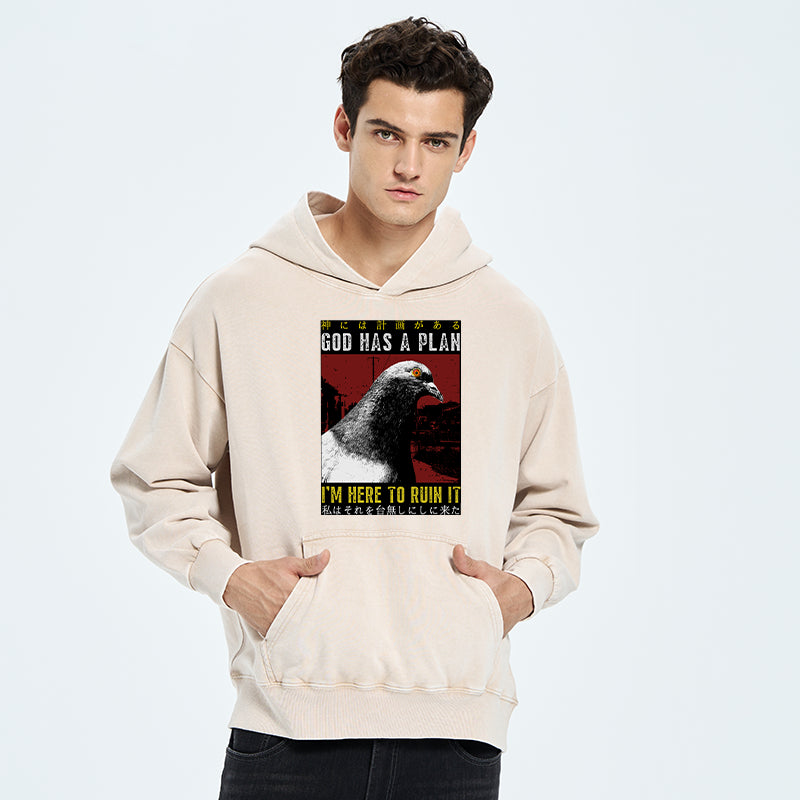 Pigeons That Want To Break The Plan Washed Hoodie
