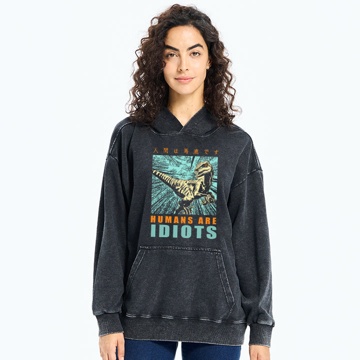 Mocking Dinosaurs Japanese Washed Hoodie