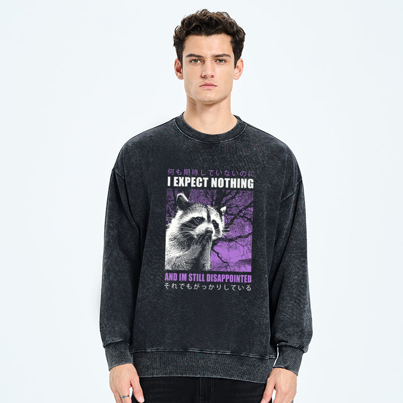 Disappointed Raccoon Japanese Washed Sweatshirt