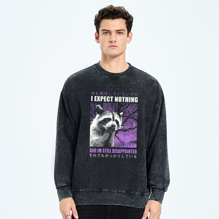 Disappointed Raccoon Japanese Washed Sweatshirt
