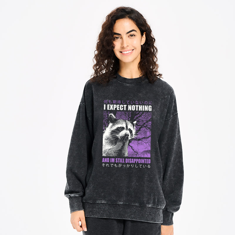 Disappointed Raccoon Japanese Washed Sweatshirt