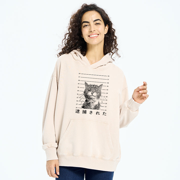 Cat That Was Arrested Washed Hoodie