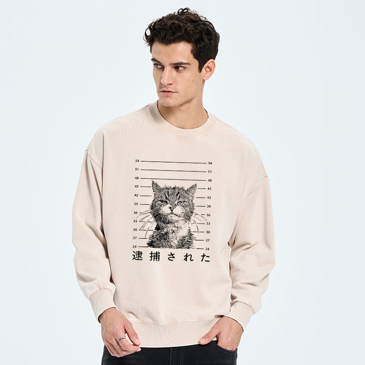 Cat That Was Arrested Washed Sweatshirt