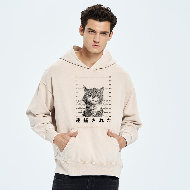 Cat That Was Arrested Washed Hoodie