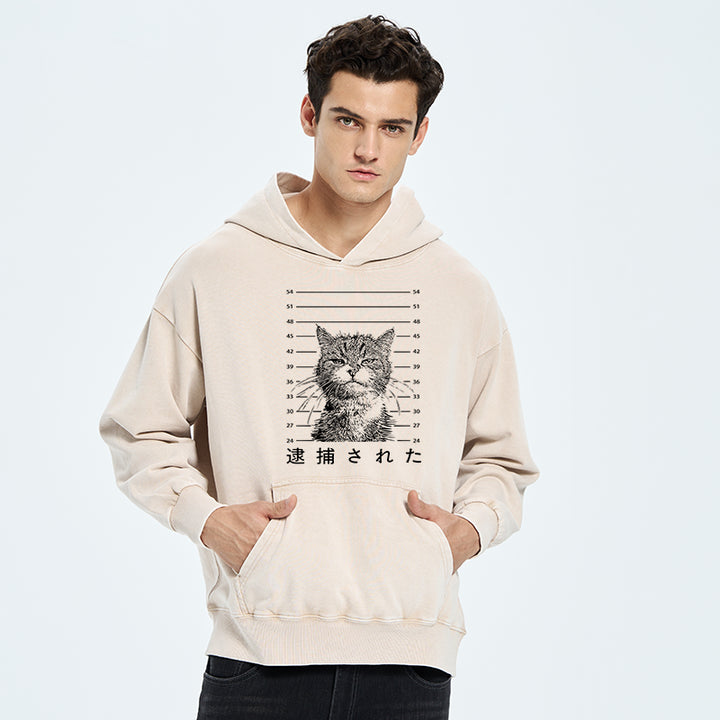 Cat That Was Arrested Washed Hoodie