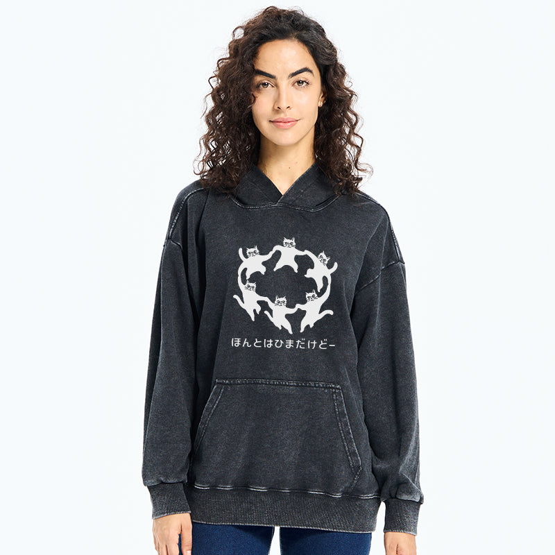 Leisure Cats Japanese Washed Hoodie