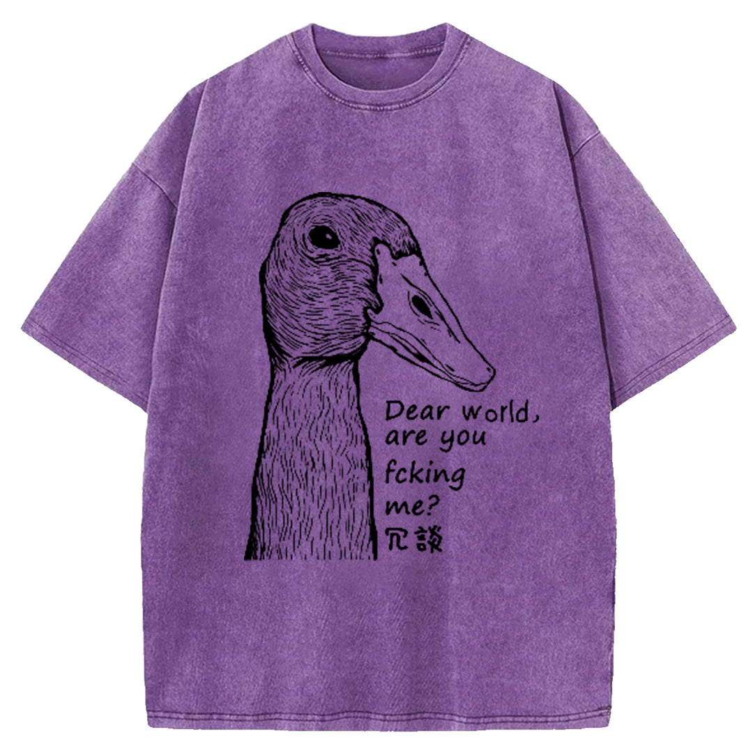 Dear World Are You Fcking Me Washed Crew Neck T-Shirt