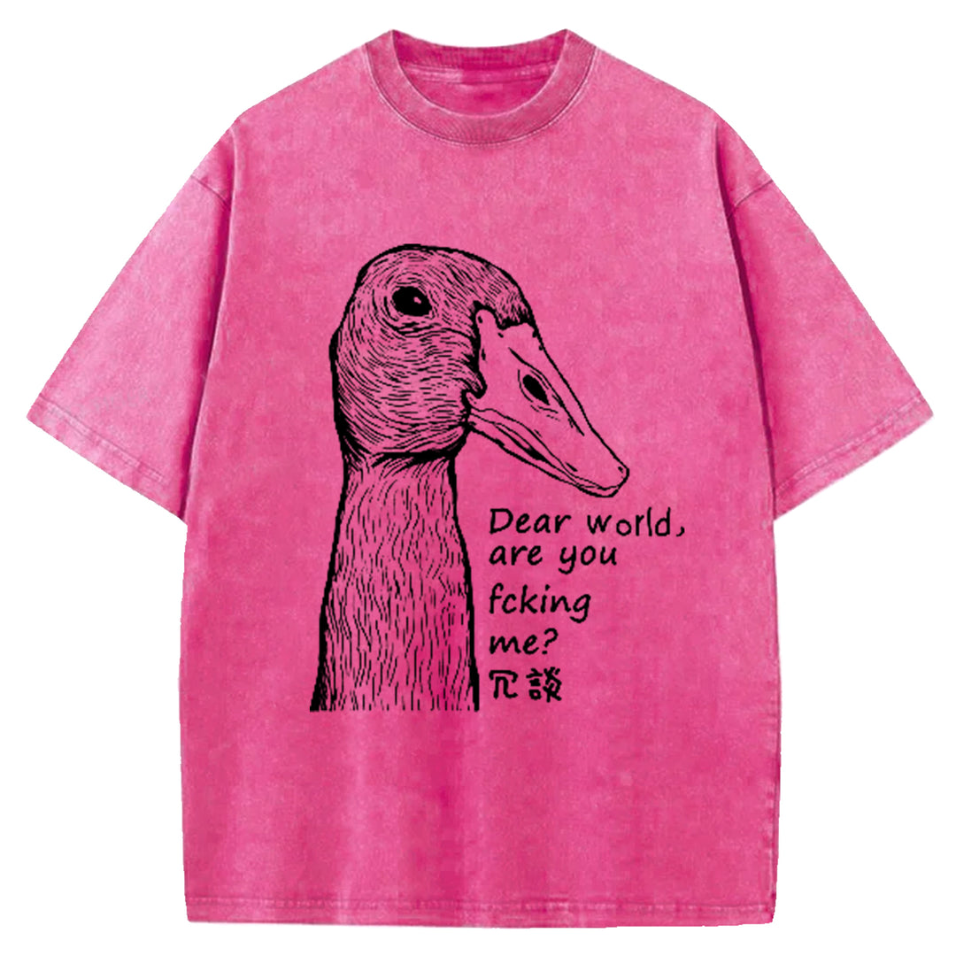 Dear World Are You Fcking Me Washed Crew Neck T-Shirt