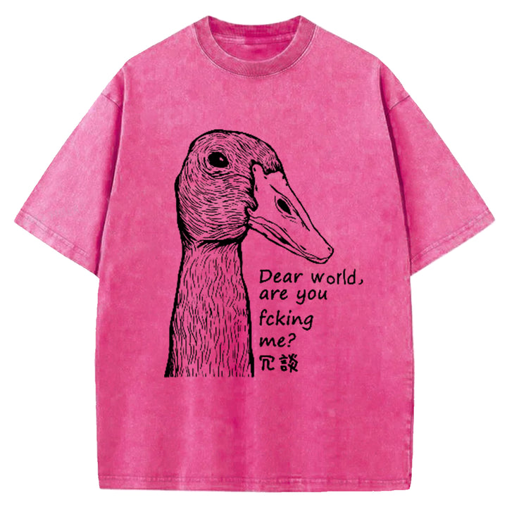 Dear World Are You Fcking Me Washed Crew Neck T-Shirt
