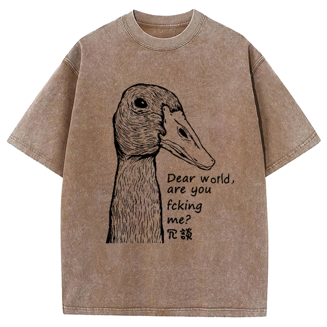 Dear World Are You Fcking Me Washed Crew Neck T-Shirt