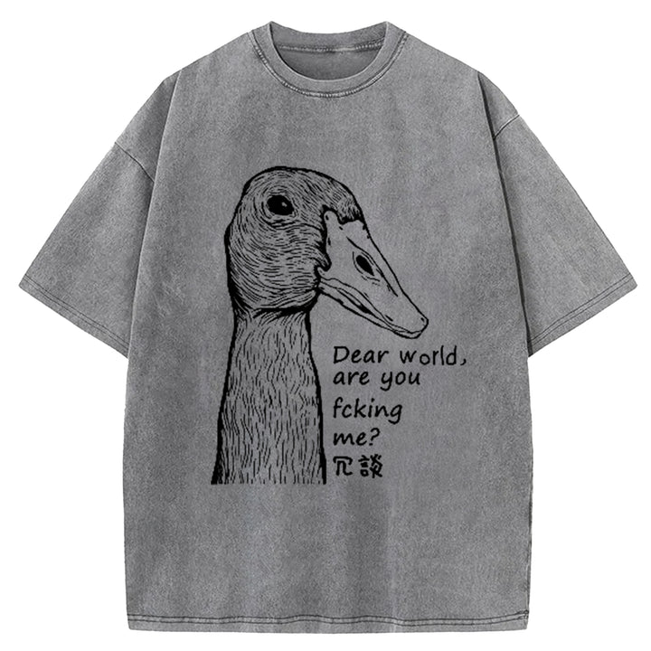 Dear World Are You Fcking Me Washed Crew Neck T-Shirt
