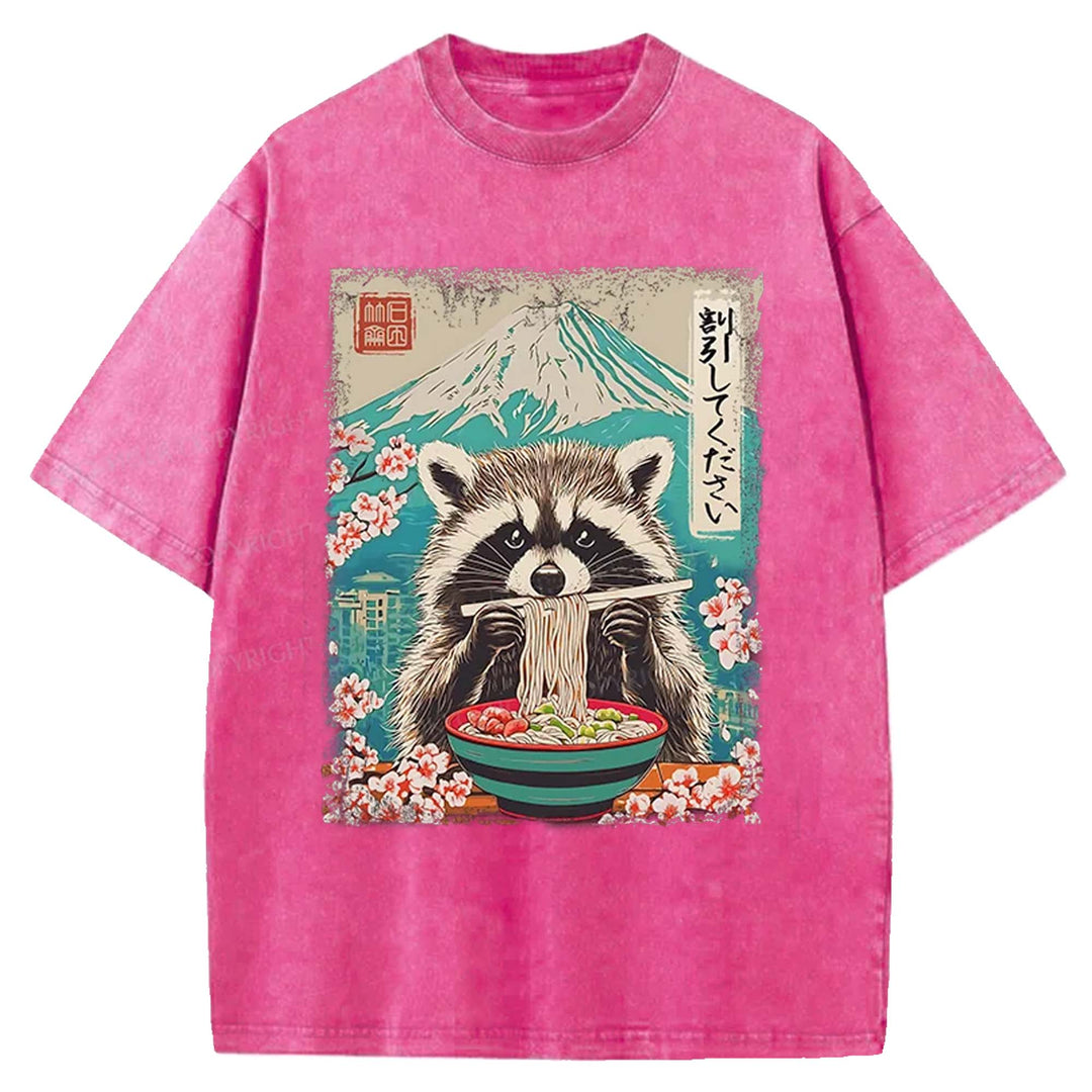 Please Give Raccoon A Discount Washed Crew Neck T-shirt
