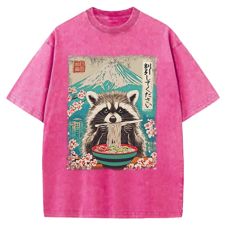 Please Give Raccoon A Discount Washed Crew Neck T-shirt