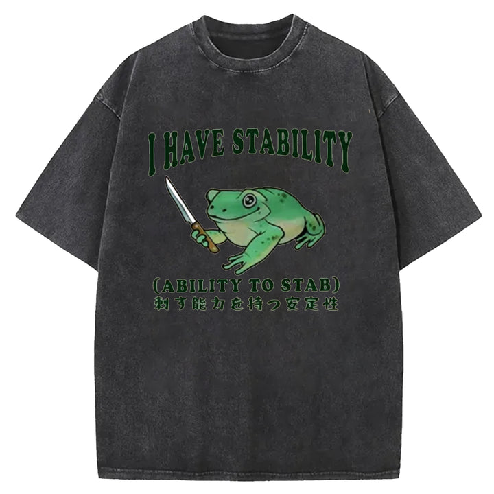 I HAVE STABILITY Washed Crew Neck T-shirt