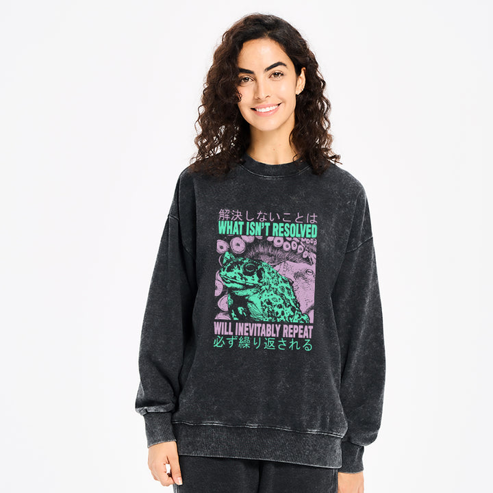 What Ist Resolved Forg Washed Sweatshirt