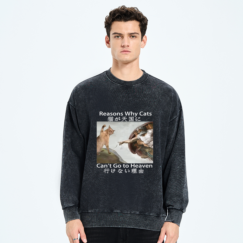 Naughty Cat Can't Go To Heaven Washed Sweatshirt