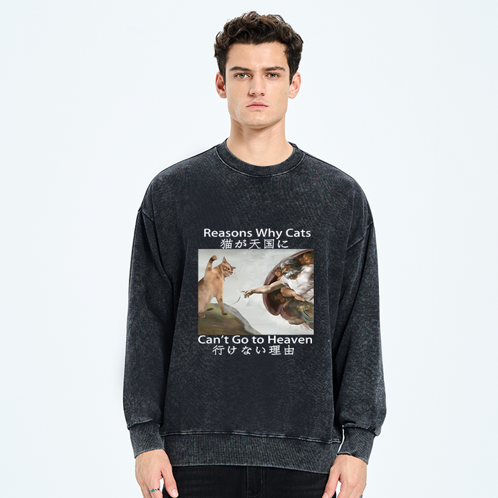Naughty Cat Can't Go To Heaven Washed Sweatshirt