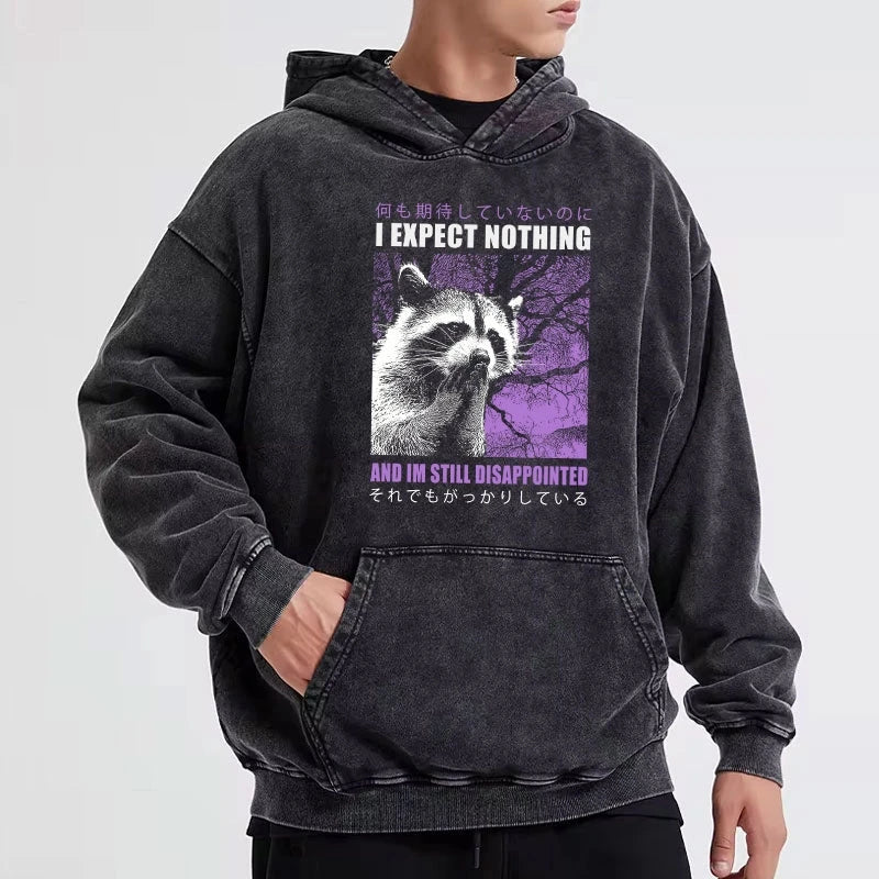 Disappointed Raccoon Japanese Washed Hoodie