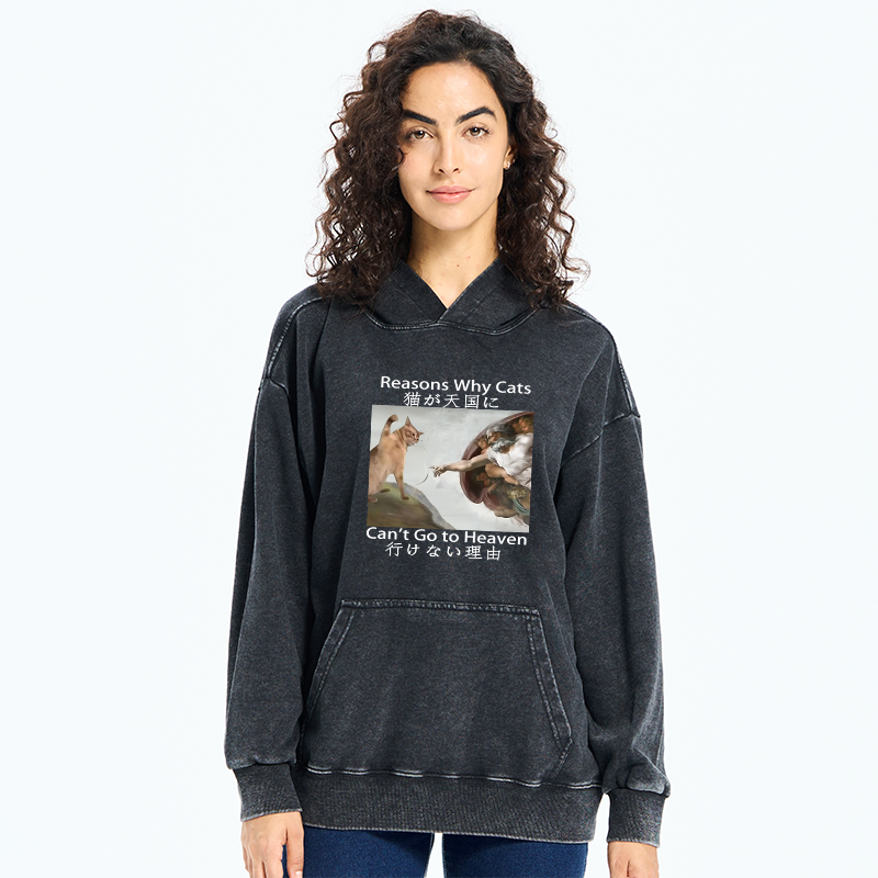 Naughty Cat Can't Go To Heaven Washed Hoodie