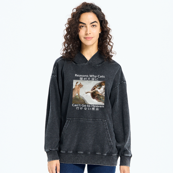 Naughty Cat Can't Go To Heaven Washed Hoodie