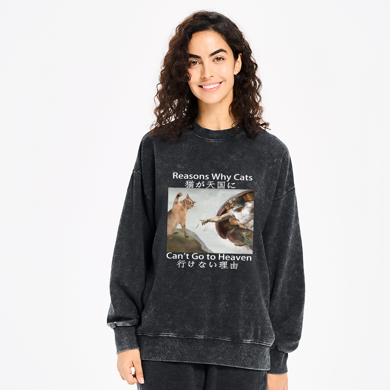 Naughty Cat Can't Go To Heaven Washed Sweatshirt