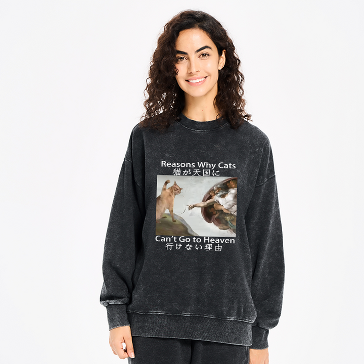 Naughty Cat Can't Go To Heaven Washed Sweatshirt