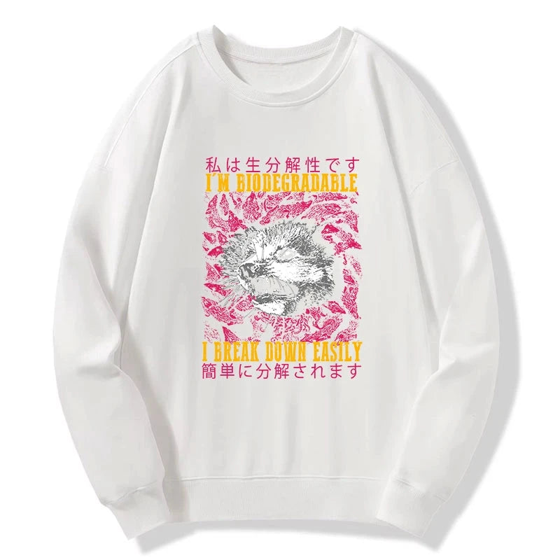 An Easily Breakable Opossum Sweatshirt