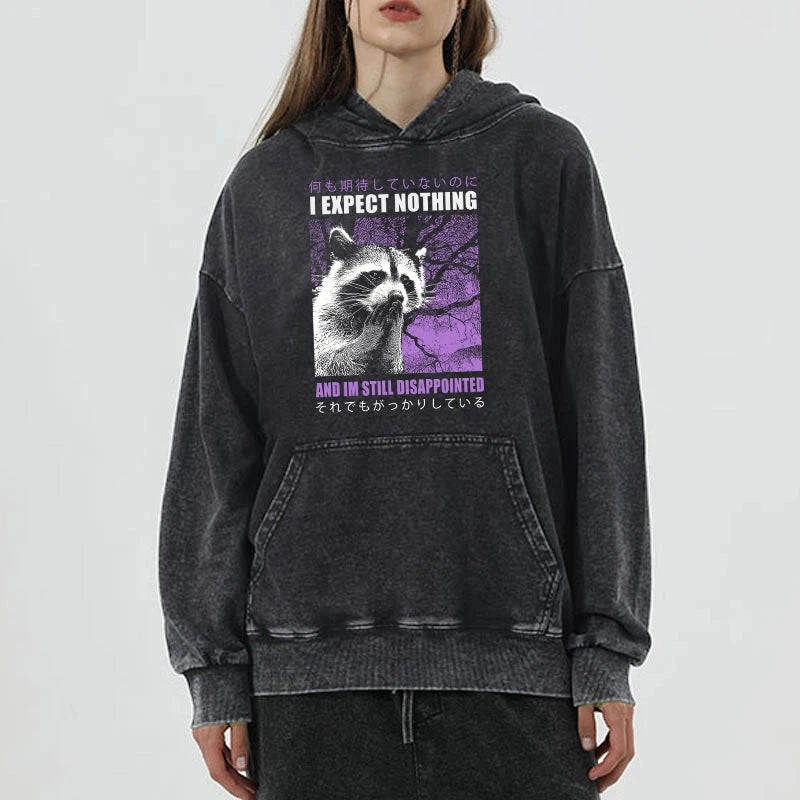Disappointed Raccoon Japanese Washed Hoodie