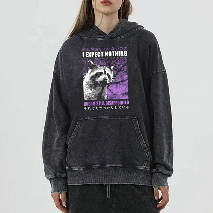 Disappointed Raccoon Japanese Washed Hoodie