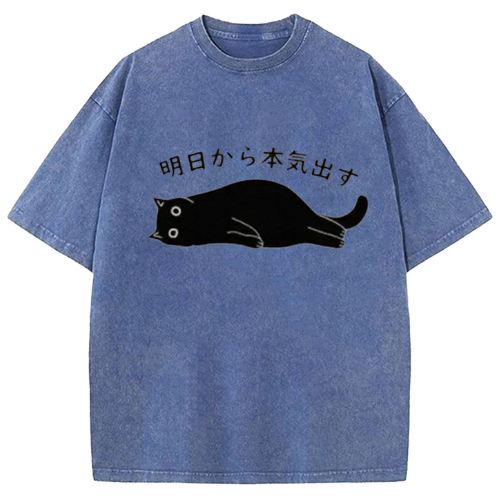 I'm Going To Get Serious Tomorrow Washed Crew Neck T-Shirt