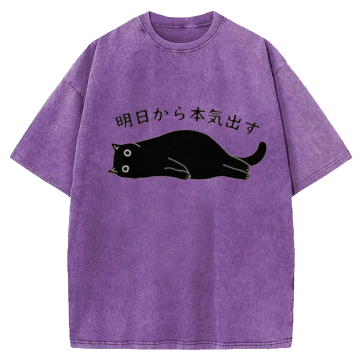 I'm Going To Get Serious Tomorrow Washed Crew Neck T-Shirt