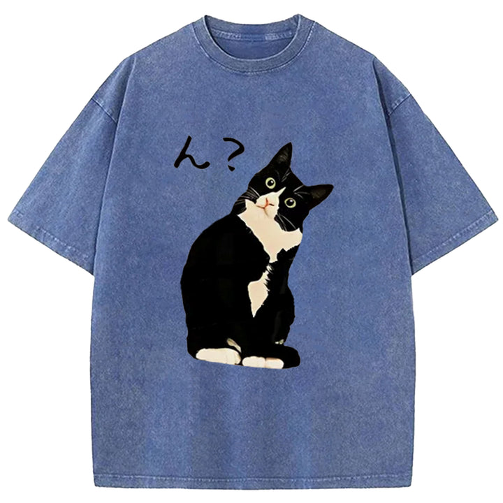 Suspicious Cat Japanese Washed Crew Neck T-Shirt
